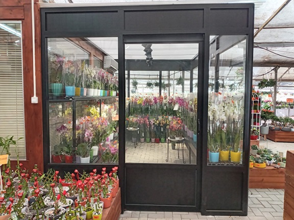 פרגולה אלומיניום סגורה - חנות פרחים